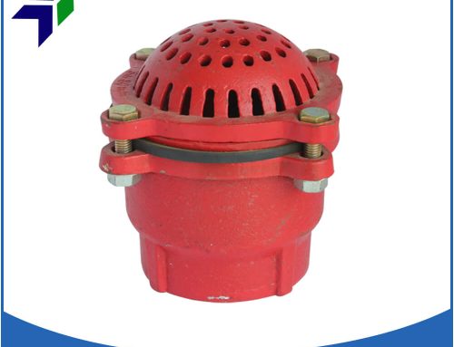 Red cast foot valve